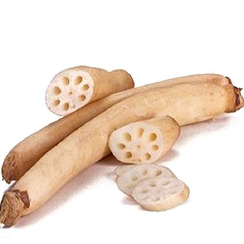 Củ sen